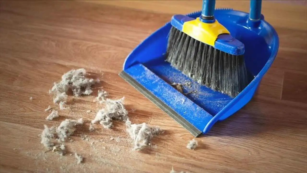 Immagine selezionata